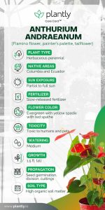tropical plant care