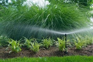 professional sprinkler system installation in Vancouver