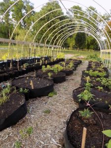 How to use grow bags for gardening in Vancouver