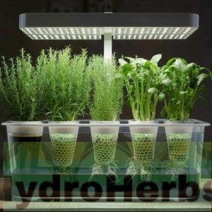 Hydroponic seed starting involves placing seeds in a soilless medium (like rock wool or coconut coir) and providing nutrients through a water-based solution.