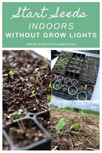 top seed starting tools for Vancouver gardeners