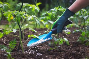 Garden Pest Control