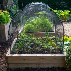 best methods for backyard landscaping