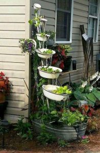  budget-friendly gardening hacks