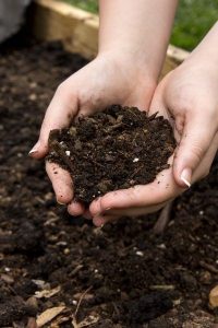 The best soil for raised garden beds