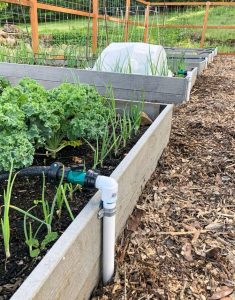 efficient irrigation for raised garden beds