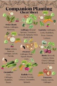 Creative themed grow bag ideas for urban gardens