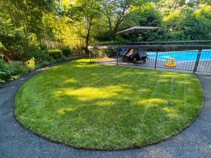  modern landscape design for urban homes