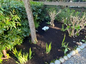 sustainable landscaping solutions for residential properties