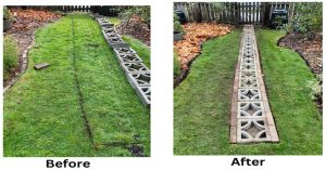 DH Landscaping Solutions's Projects