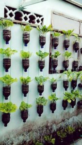 Plastic bottles make fantastic recycled planters that can be used for container gardening or vertical garden designs.