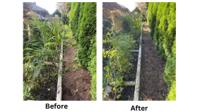 DH Landscaping Solutions's Projects