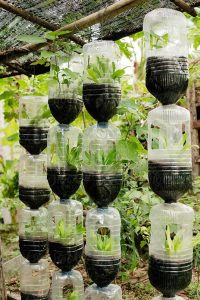 Discover 10 eco-friendly ways to reuse plastic bottles for gardening!