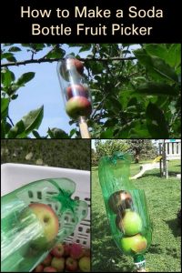Reaching high-hanging fruit just got easier with this bottle-based fruit picker.