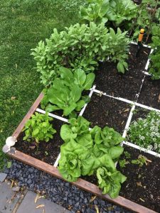 how to start a square foot garden