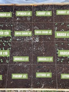 Square-Foot Gardening Layouts