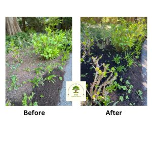 DH Landscaping Solutions's Projects